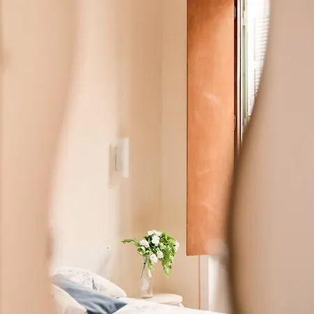 Acacia Verde
